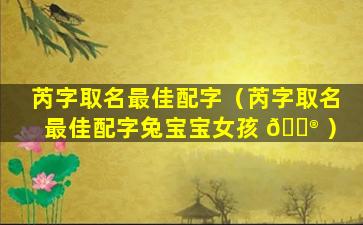 芮字取名最佳配字（芮字取名最佳配字兔宝宝女孩 💮 ）